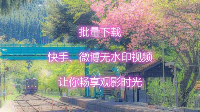 批量下载快手微博无水印视频让你畅享观影时光