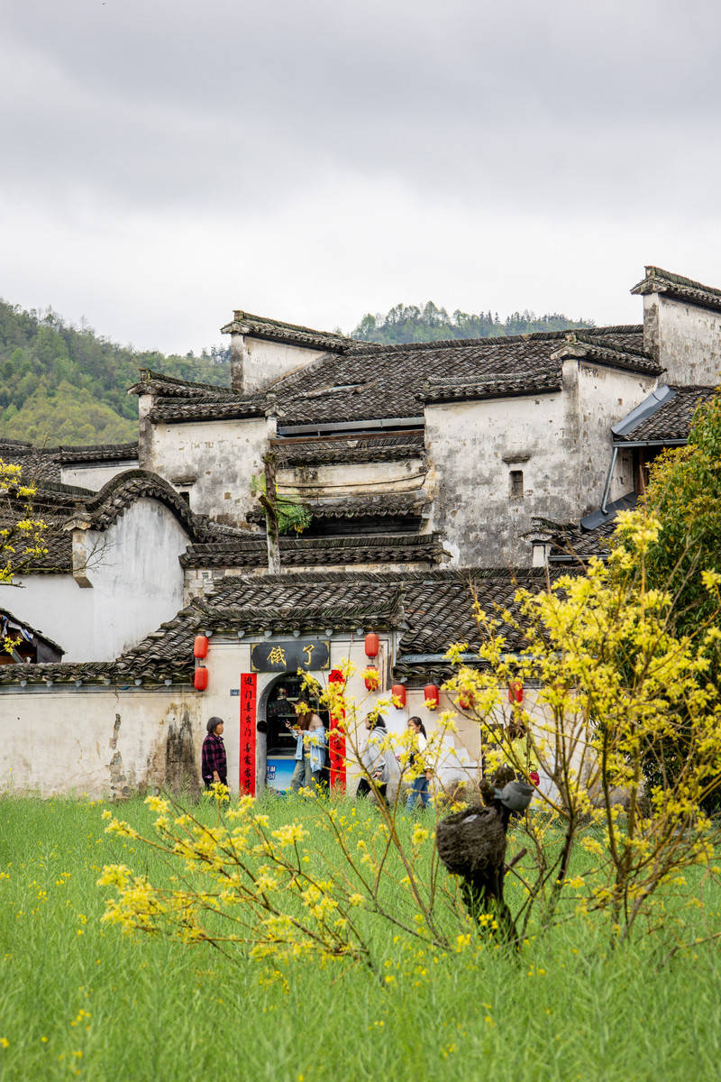 山野清欢,自在漫游,这一站去黟县_柯村_石林_徽州