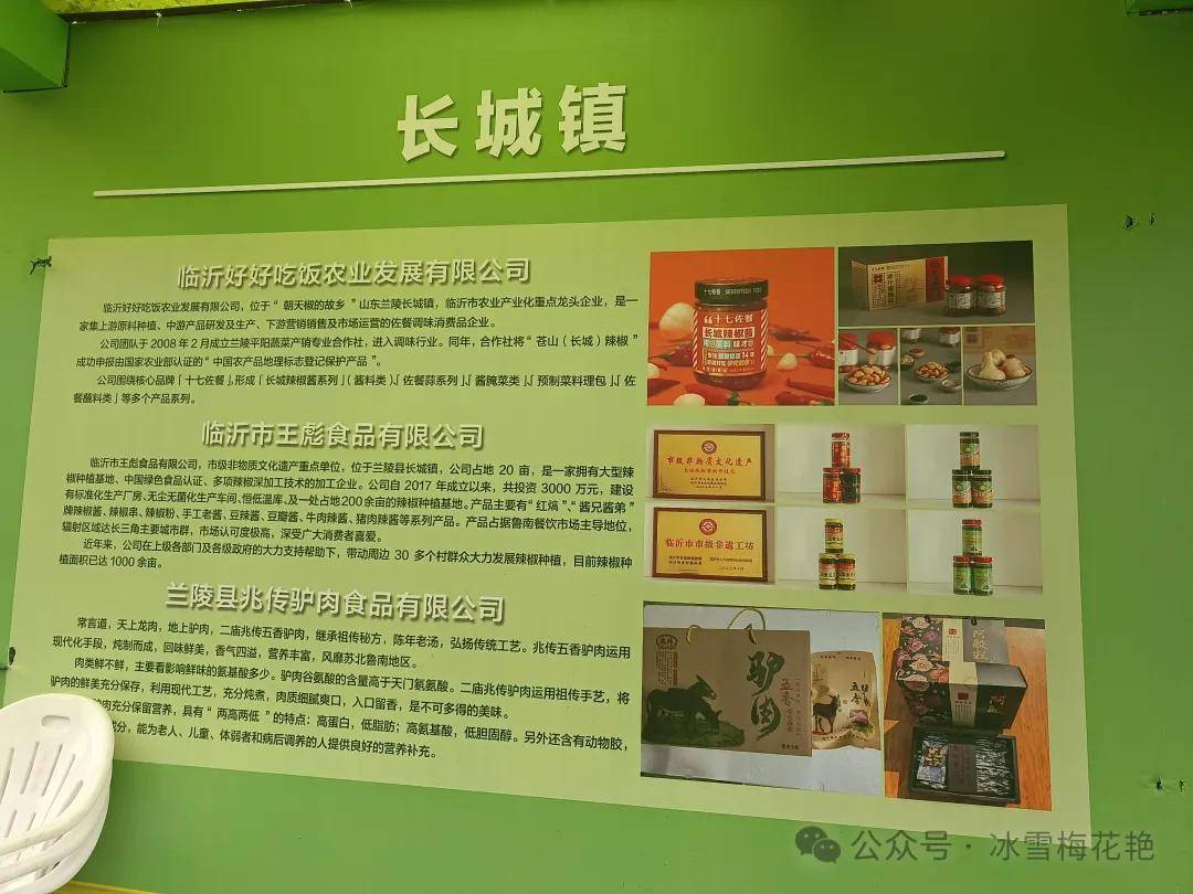兰陵县菜博会又开始了