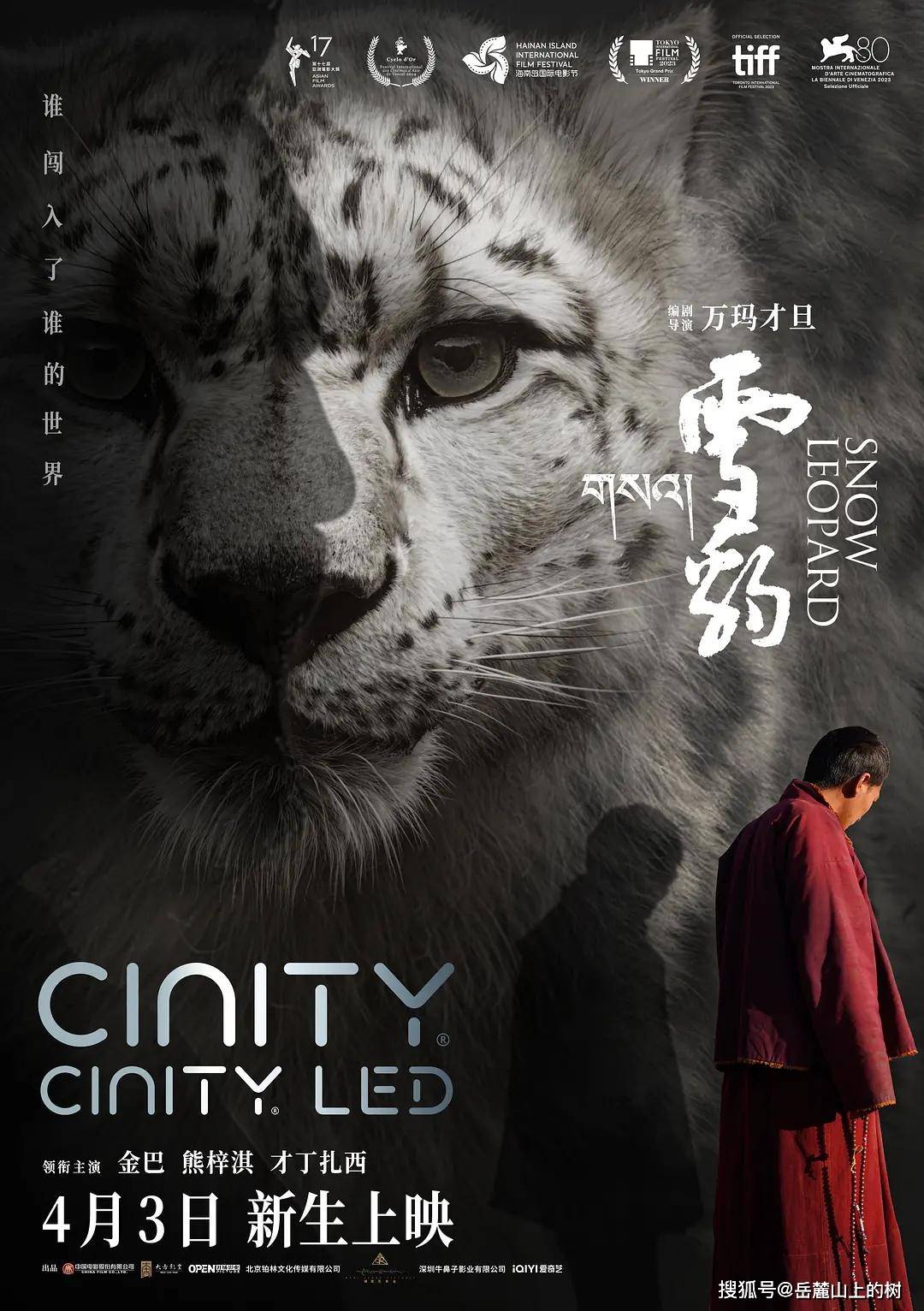 电影雪豹一场生存与规则执念与放下的探讨