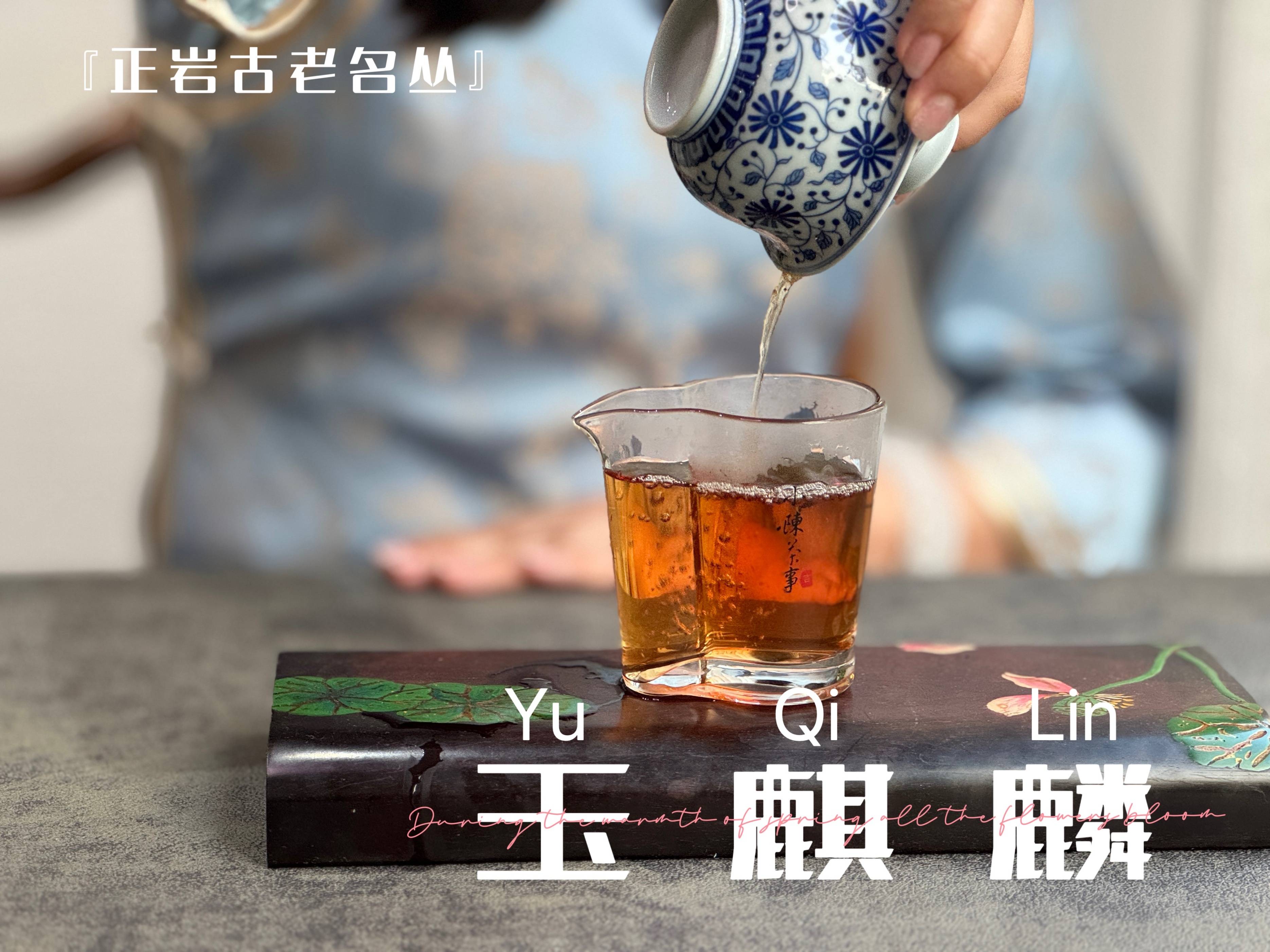 原创为什么老茶客都爱用盖碗泡茶我收集了4个观点有你认可的吗