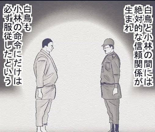 原创白鸟由荣越狱界的王者监狱根本关不住他电影都不敢这么拍