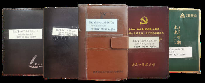 驻村第一书记赵振华132万字的驻村工作笔记展现乡村蝶变之路