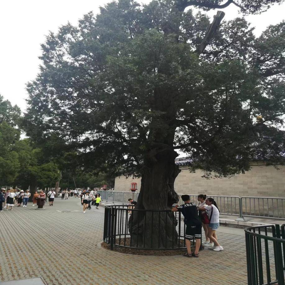 大同市到北京跟团旅游35天需要多少钱人均1000赶紧码住