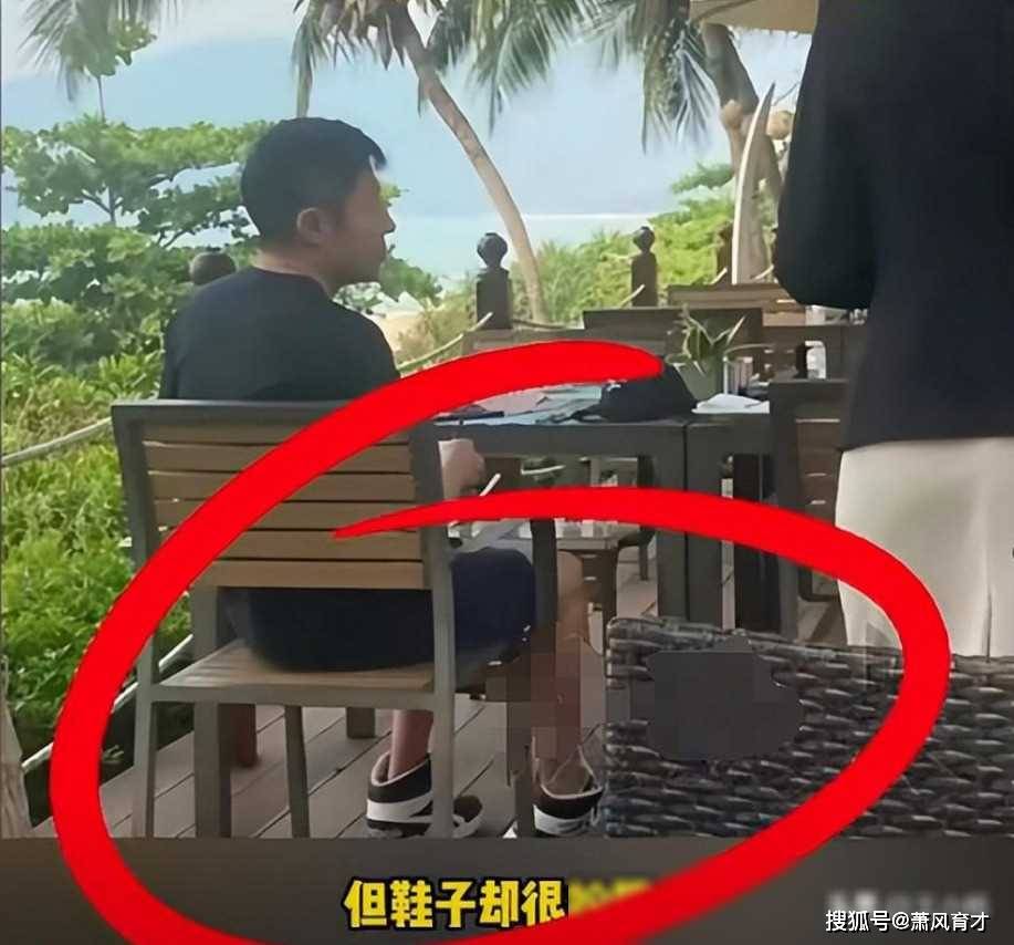 网友三亚偶遇撒贝宁一家撒贝宁妻子李白皮肤白皙花期短暂