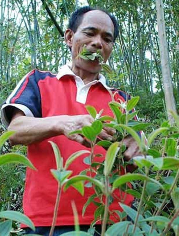 三峡奇人龚孝清不吃饭只吃草34年吃了40吨妻子无奈出走