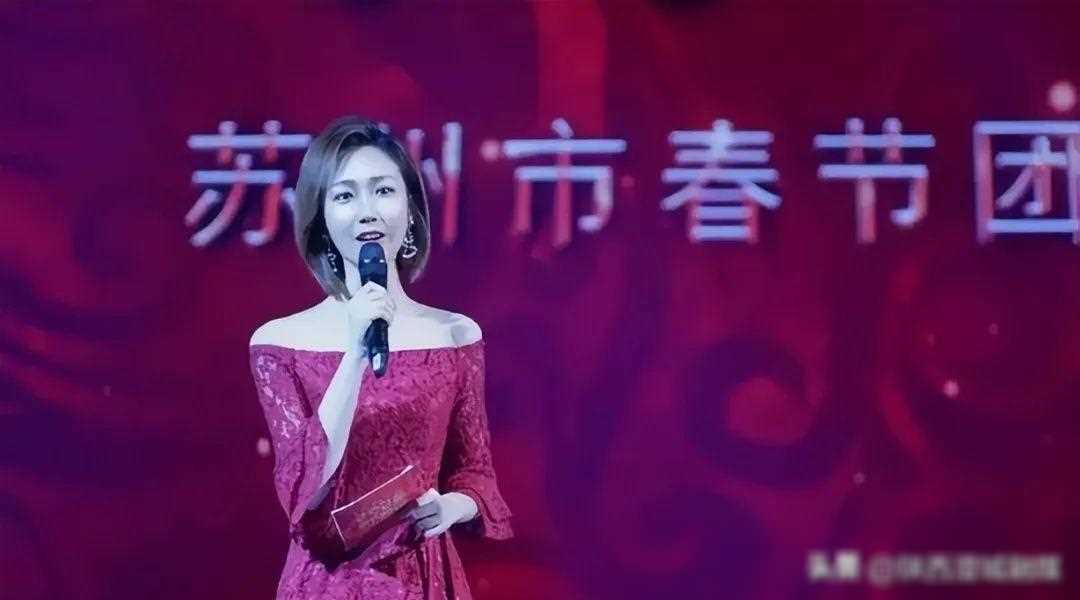 央视新秀:她是90后最美主持,4年崛起主持春晚,才华惊艳如董卿_王嘉宁