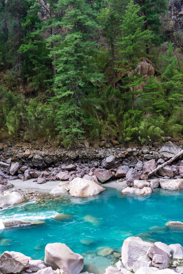 尼屋到八盖地图上没有的路藏在深山里的易贡大峡谷