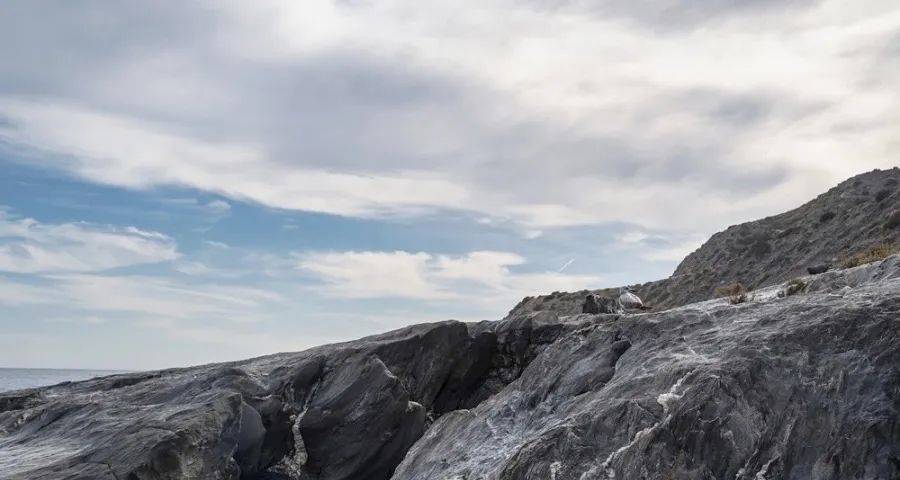 家电涨价通道下经销商要警惕被亏损-家电圈官网