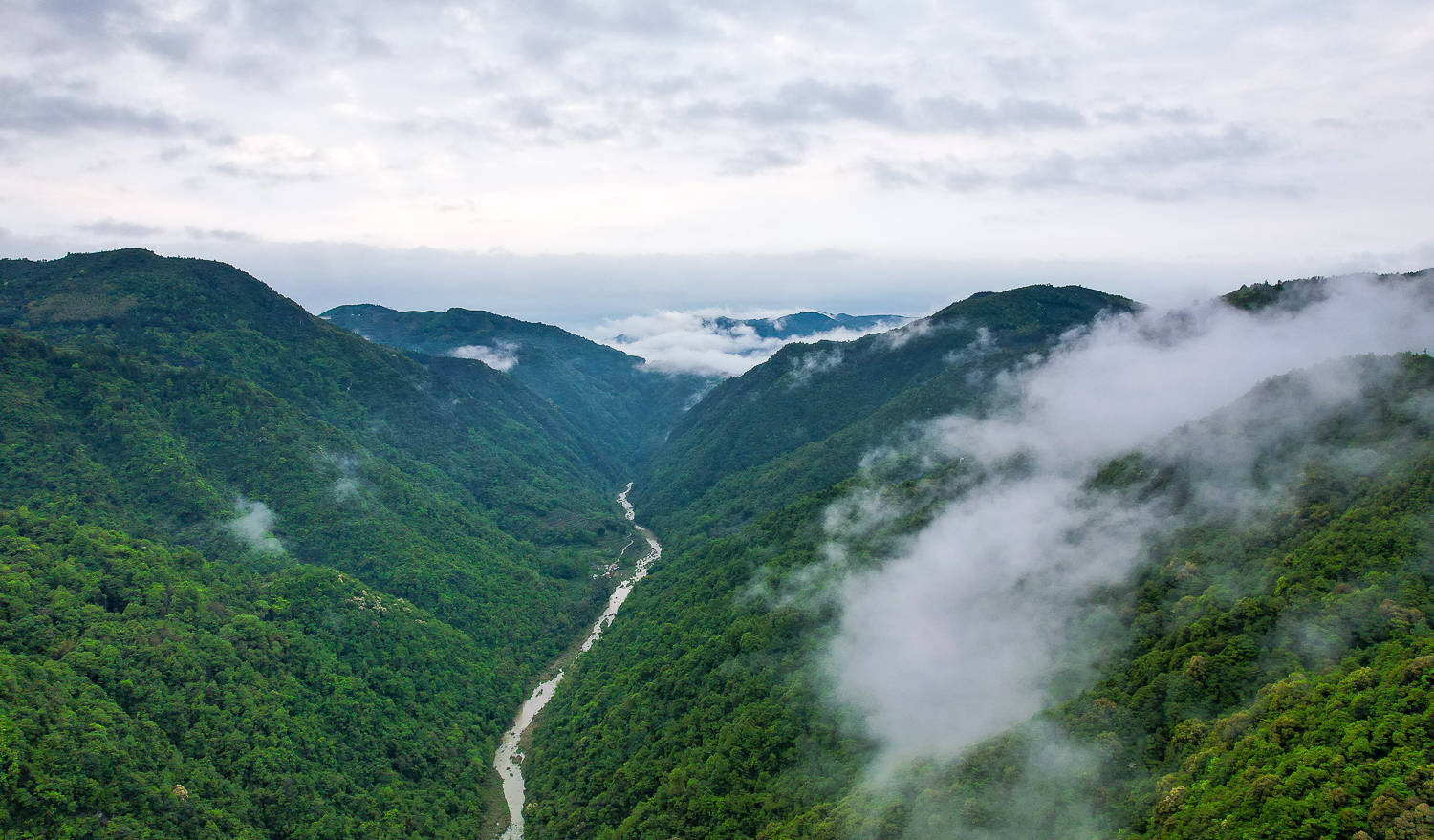泰顺有口5a级的氡泉眼,隐藏在华东大峡谷的谷底,免费对游客开放
