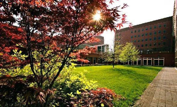 24年意大利留学意大利公立大学米兰比可卡大学英文授课介绍