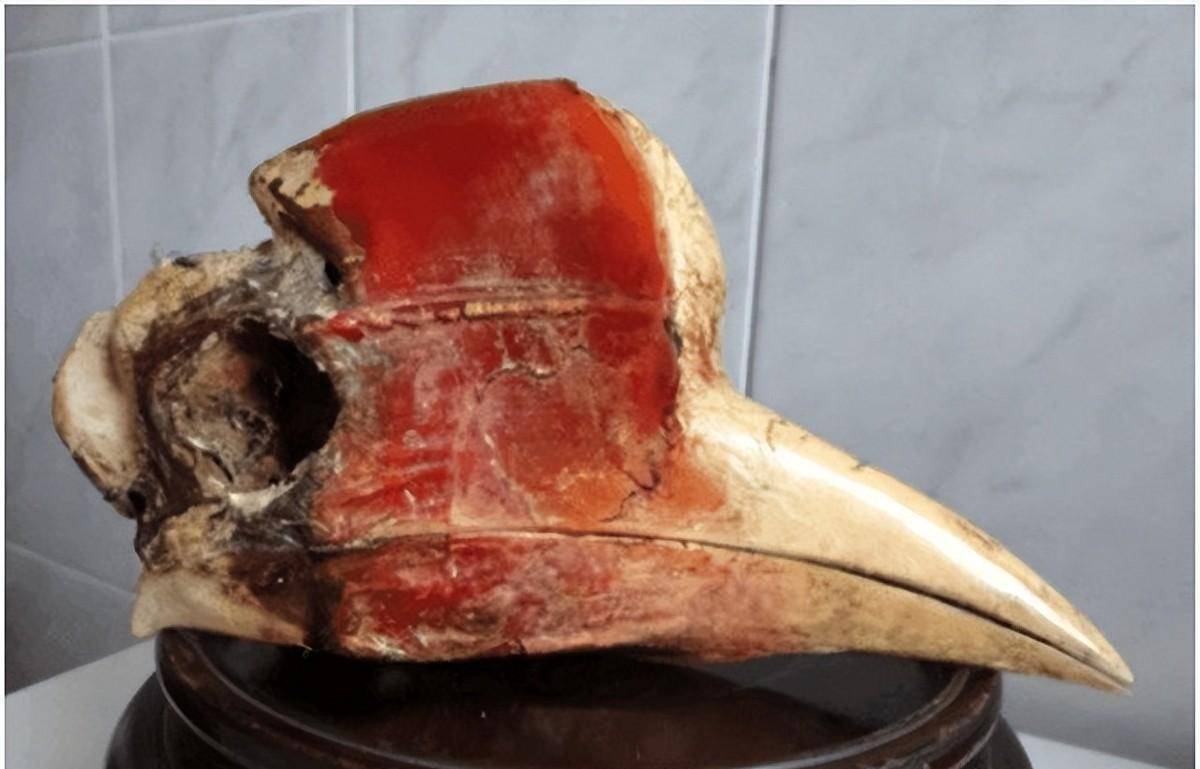 毒药之王鹤顶红与丹顶鹤有没有关系大部分人被骗了许多年