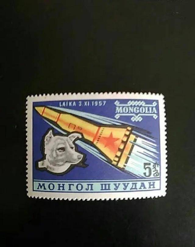 宇航狗莱伊卡64年前进入太空时遭逢大变后来如何了