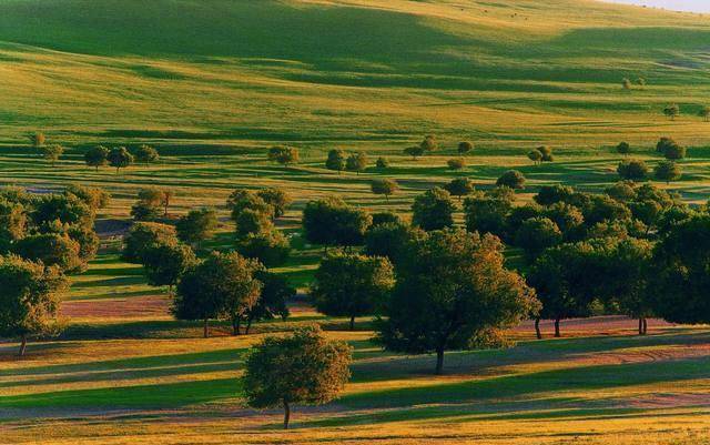 曾被"划到"辽宁管辖,如今发展还不错_林西县_巴林草原_蒙东