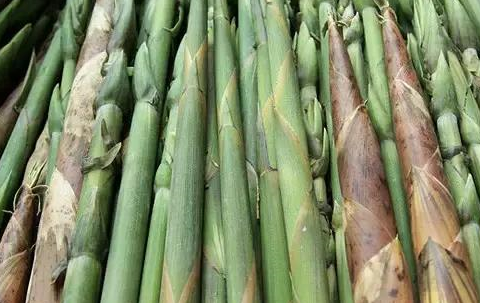 这笋仅4月才有,短短20天的食用期限,多一天都就咬不动_春笋_竹笋_笔头
