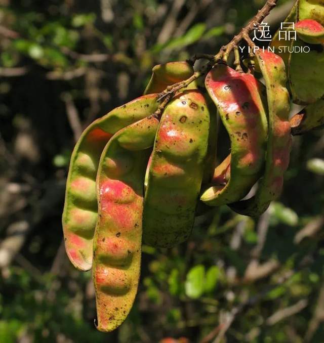 美业业内精选供应链100w人都在问的产业链优质上游