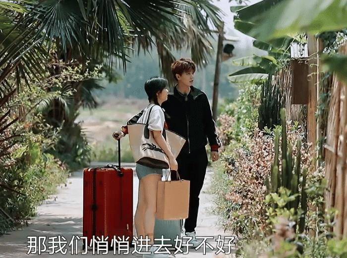 向往4任嘉伦变话痨刚来节目就开怼谭松韵国超文集升级了