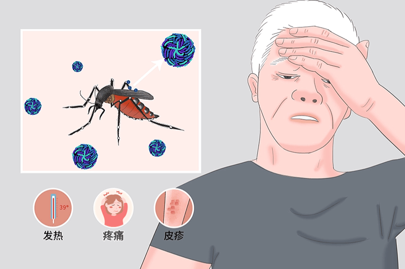 蚊子图片咬人动漫图片