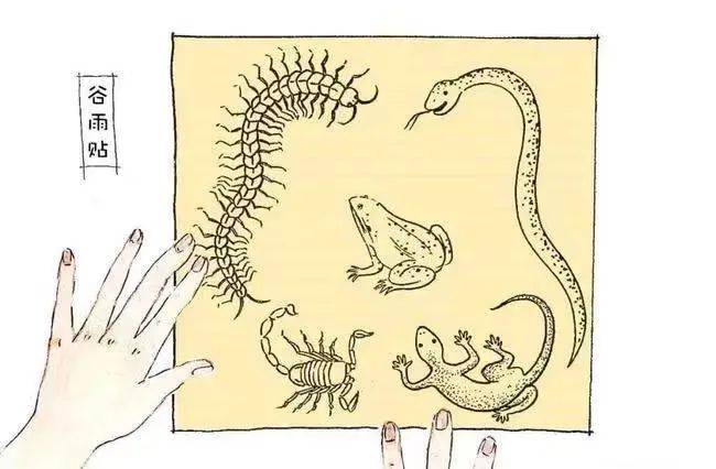 谷雨过后再无寒人间芬芳皆向暖丨二十四节气