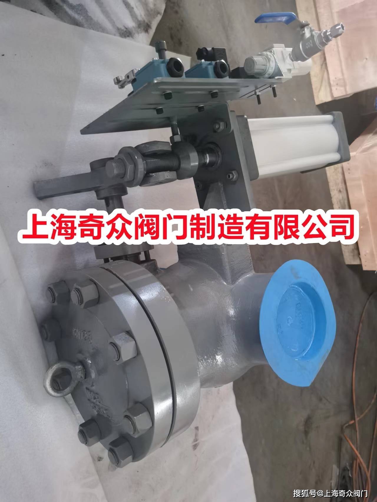 气缸_蒸汽_止回阀