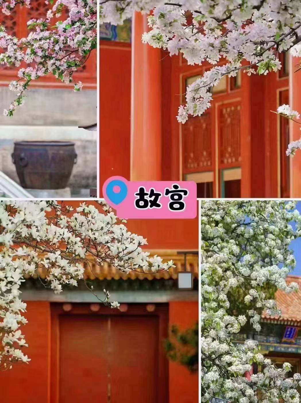 5,游览故宫,颐和园4,天安门广场上,不要说政治性玩笑和作出不当行为.