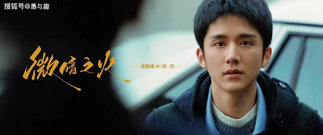 电视剧《微暗之火》官宣定档,童瑶张新成主演,两大看点令人期待