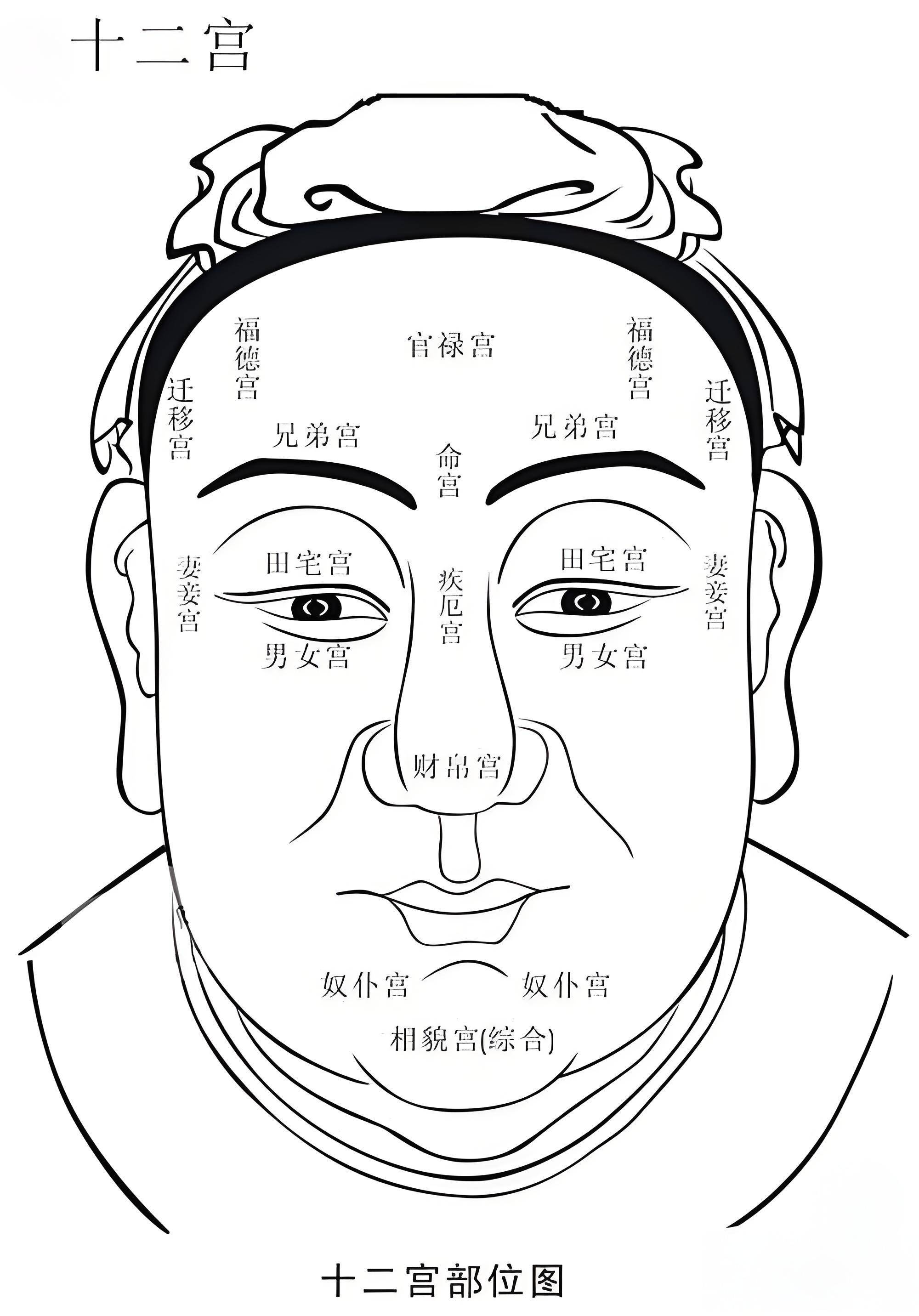 眉毛看相图解法图片