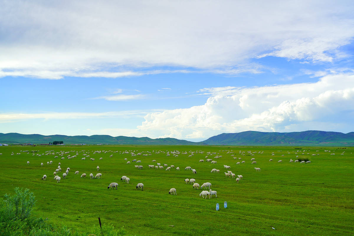 呼伦贝尔是内蒙古自治区的一个地级市,位于中国北方的辽河上游地区.