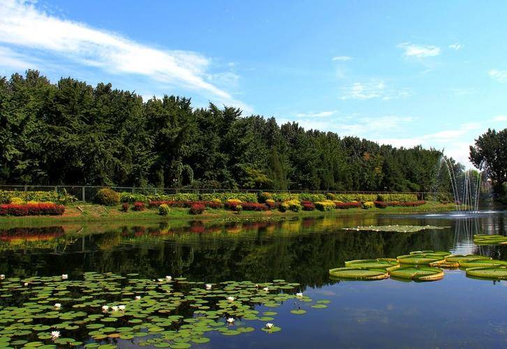 什刹海游船--碧海泛舟,邀友赏月,品茗听琴,曲水流觞.