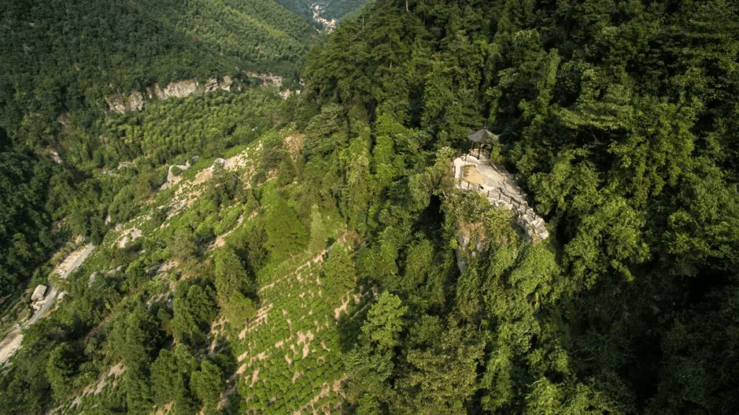 带上味蕾寻味皖南,"食"尚宣城!