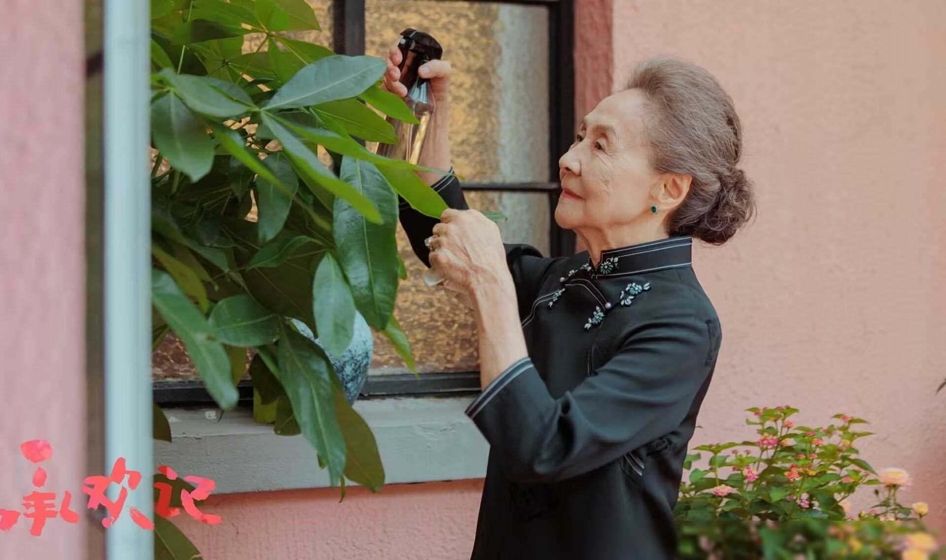 麦承欢遭疑对簿公堂,揭秘姚志明背后秘密