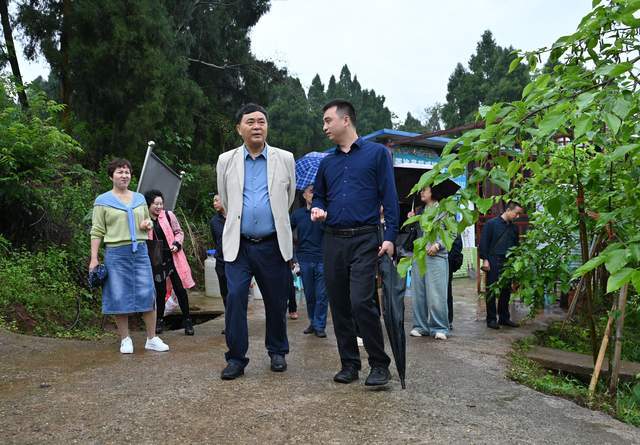 内江东兴区:科技服务赋能蚕桑产业