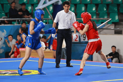 2024年重庆市武术散打擂台赛圆满落幕