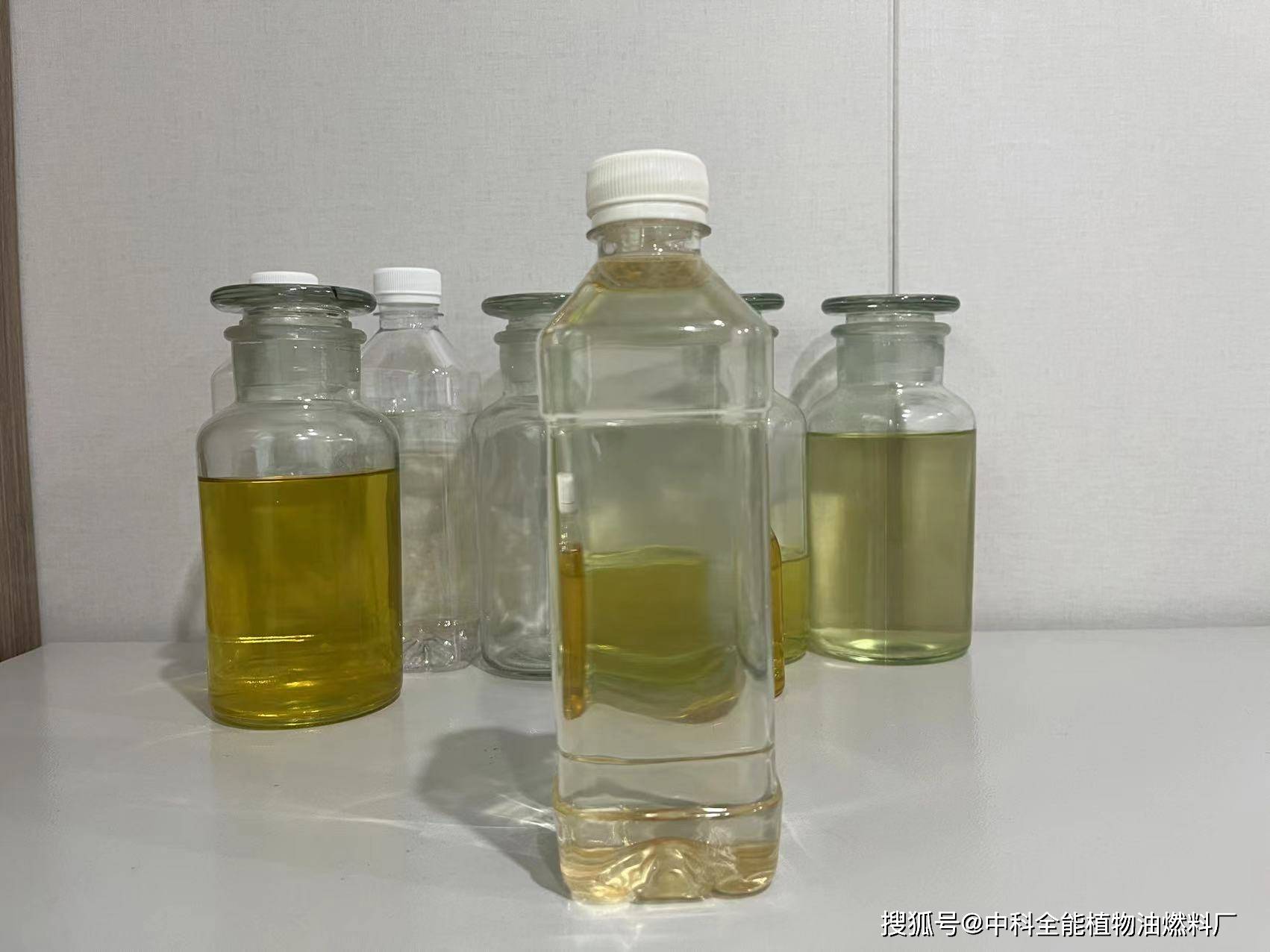 植物油燃料项目怎么赚钱?