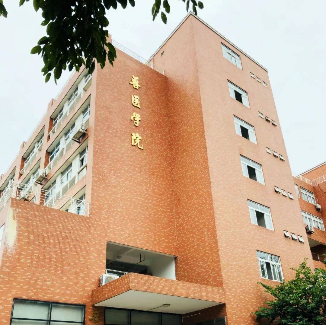 华南农业大学成人高考动物医学招生简章_执业_专业_