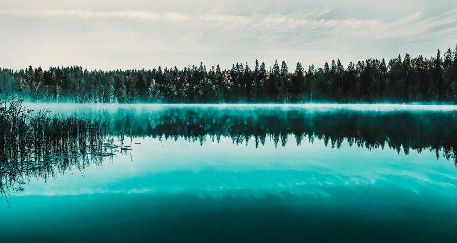 惠而浦瘦身博西家电下跌，外资家电未来出路只有卖?-家电圈官网