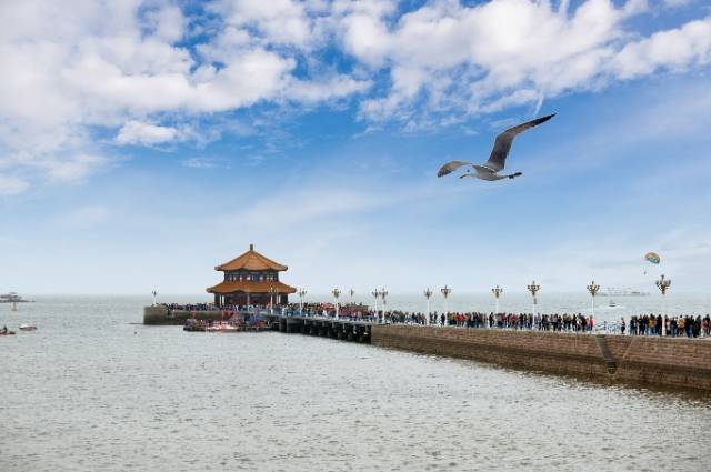 一家五口有青岛大概费用?最佳方案!