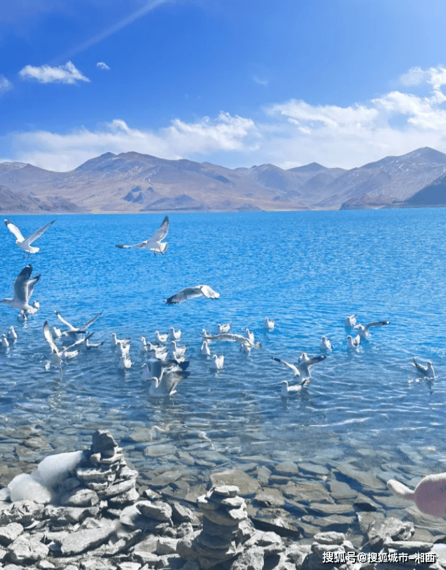 西藏旅游攻略：四天自由行，领略神秘土地的美丽与魅力