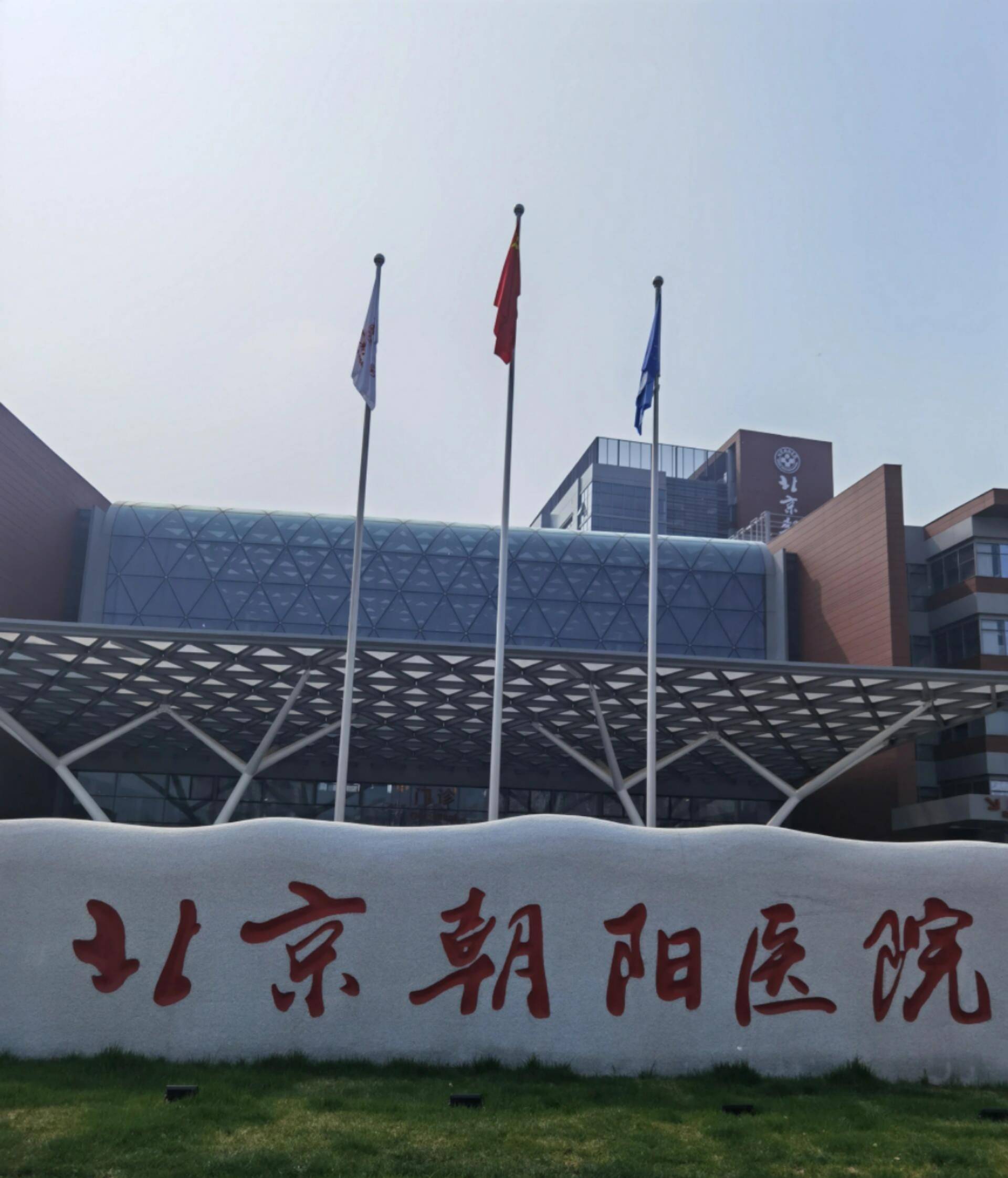 北京朝阳医院logo图片