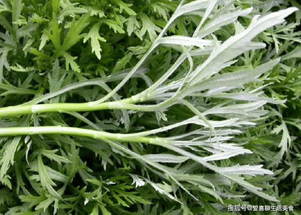 这菜人称"天然高钙菜",却才3块一斤,3种做法口口鲜嫩