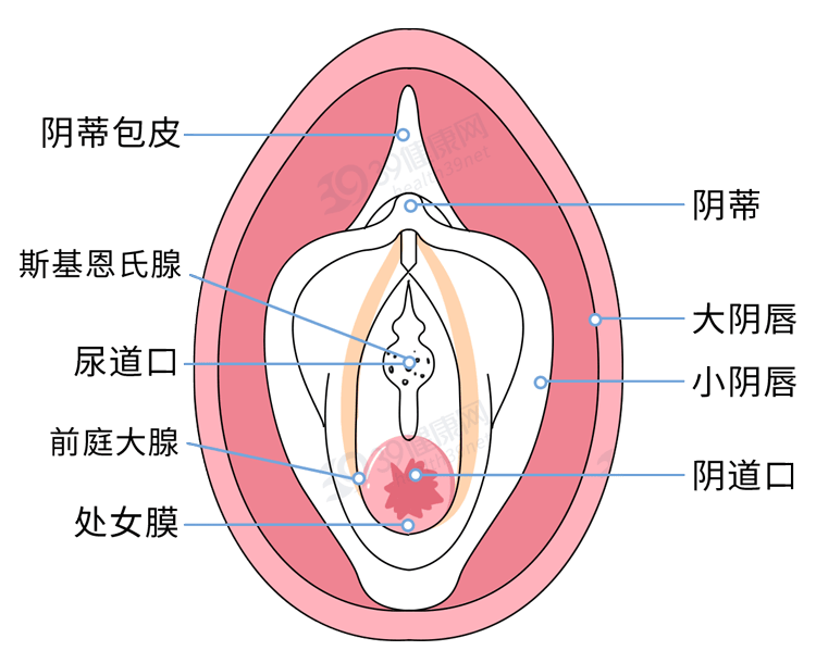 女人自己＂动手＂最后会怎样(女性私处变黑是什么原因)