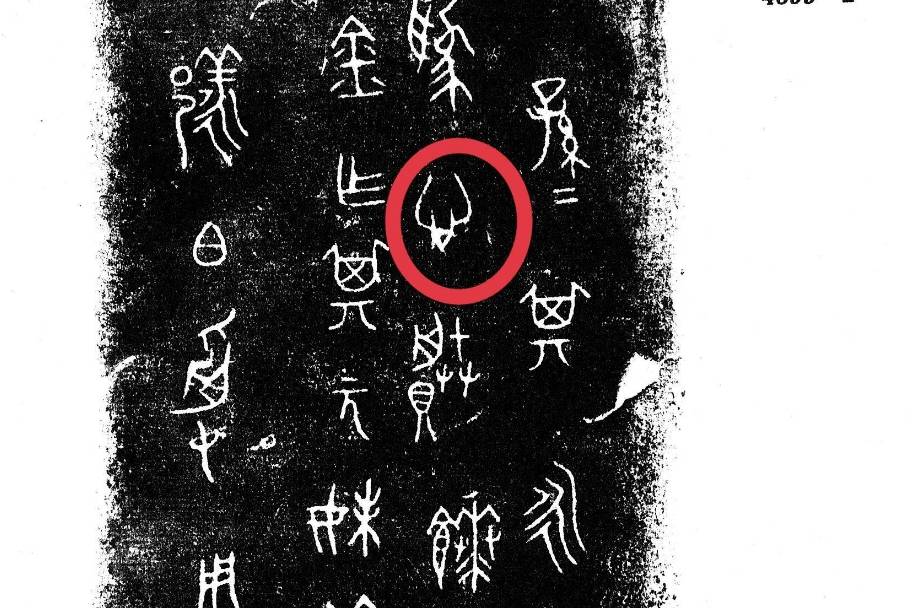 “心”字之旅:从甲骨到简体,探寻‘心’字千年演变的文脉心跳_金文_文化_甲骨文