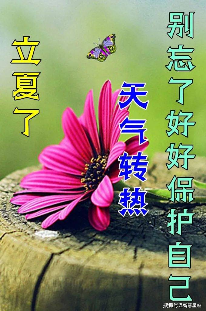 2024立夏最漂亮早上好图片,夏日炎炎已到来,稻花香里说丰年