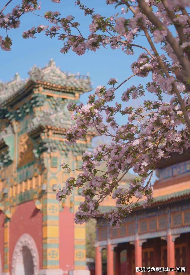 北京南站到清华大学（北京南站到清华大学怎么走） 北京南站到清华大学（北京南站到清华大学怎么走）〔北京南站到清华大学怎么坐车〕 新闻资讯