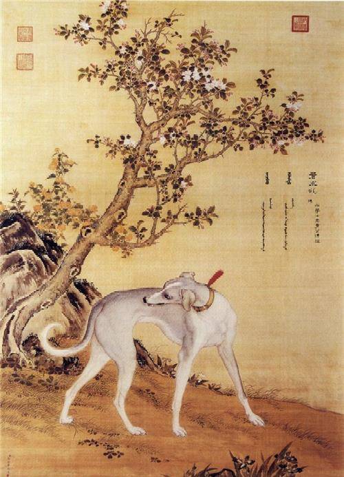 乾隆其实并不帅,真实容貌被一外国人画下,网友:很像那个明星?