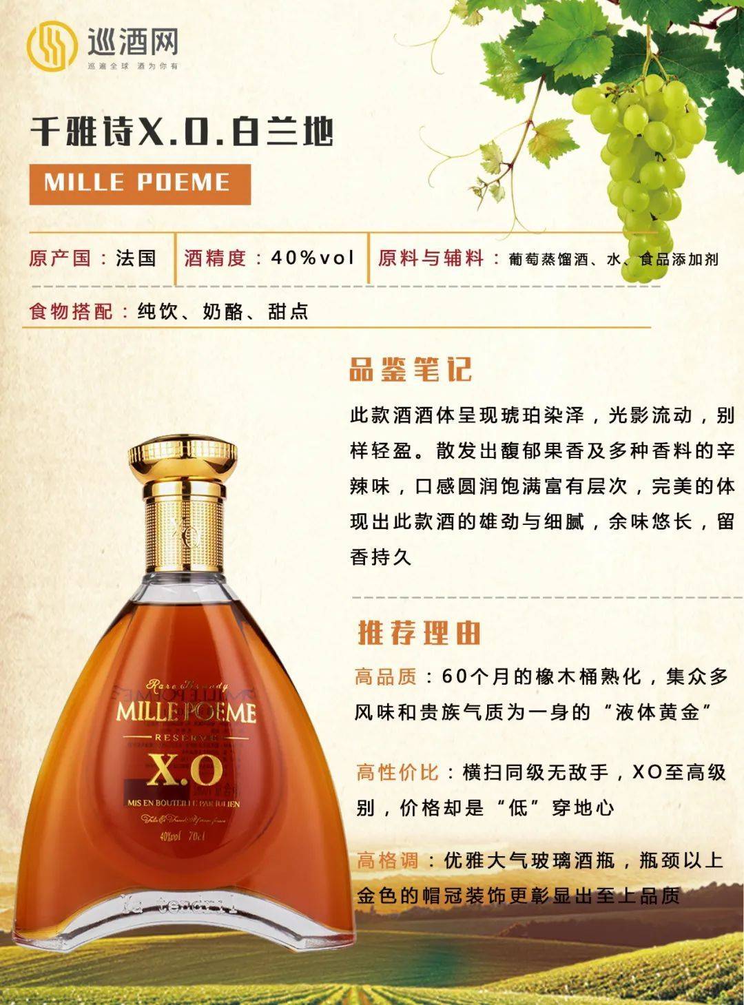 x.o酒价格图片