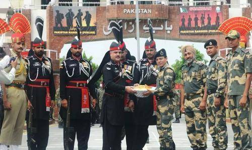 印度巴基斯坦蝗虫4000亿泛滥成灾,能不能用喷火兵消灭