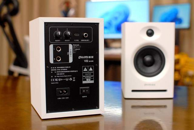 雷登V12高保真有源监听音箱:D类功放驱动,高音如丝,低音震撼