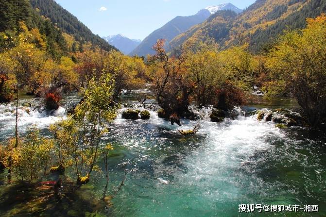 >诺日朗瀑布>犀牛海>树正瀑布>树正群海>双龙海>芦苇海>盆景滩671_447