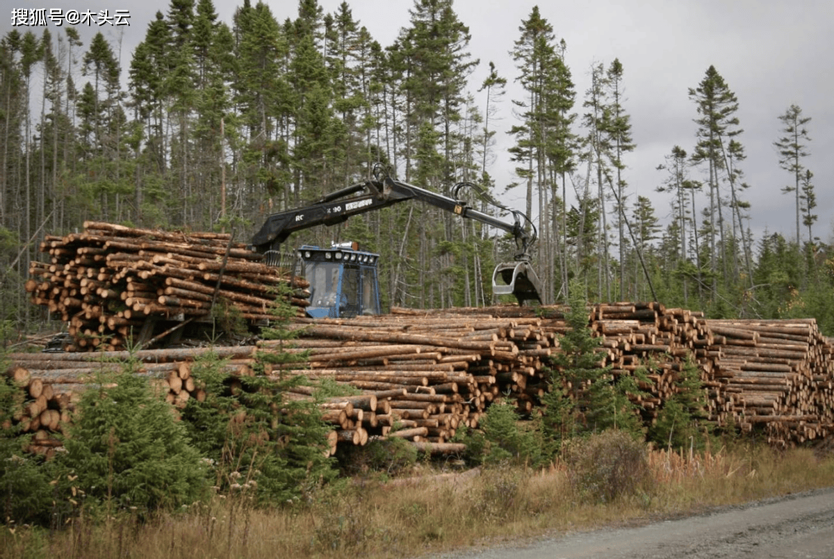 eudr于去年6月通过,是一项旨在限制欧盟市场对全球森林砍伐和退化的